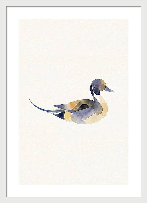 Pintail Duck Minimalism