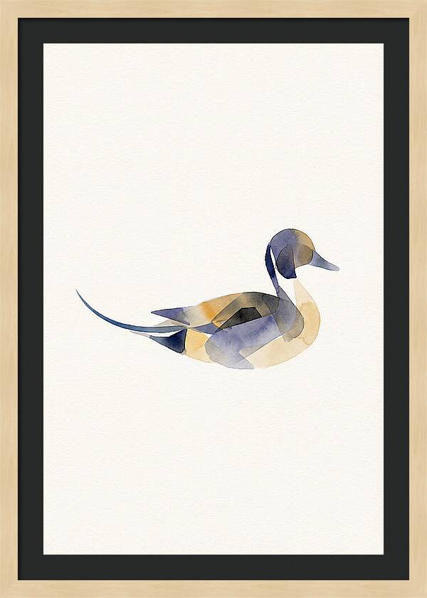 Pintail Duck Minimalism