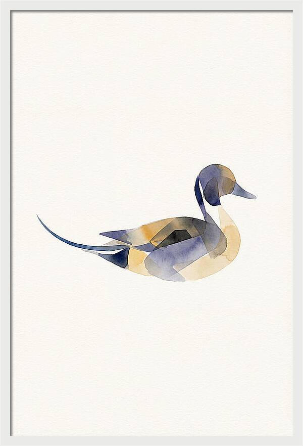 Pintail Duck Minimalism