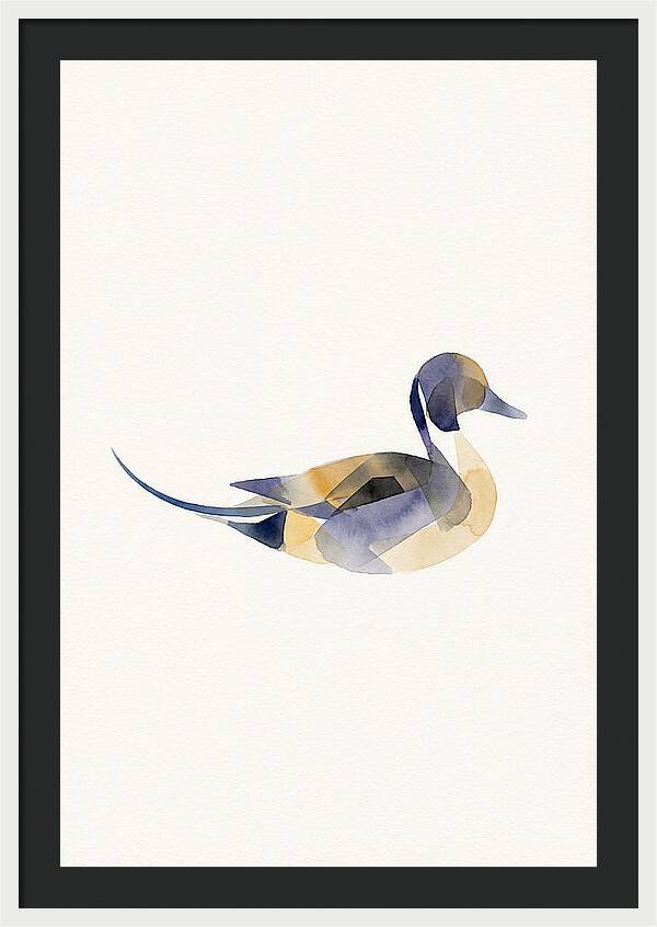 Pintail Duck Minimalism