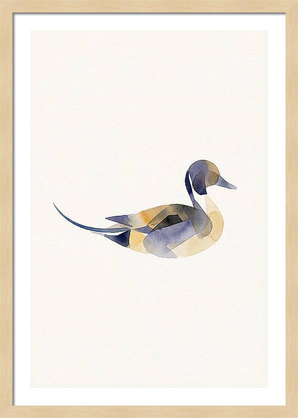 Pintail Duck Minimalism