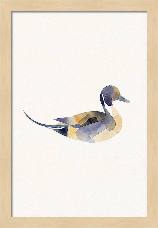 Pintail Duck Minimalism
