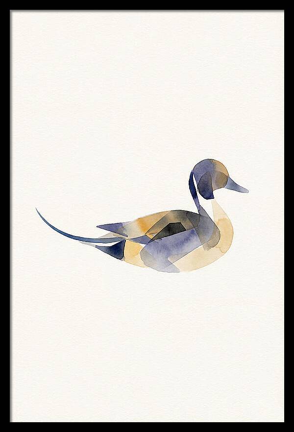 Pintail Duck Minimalism