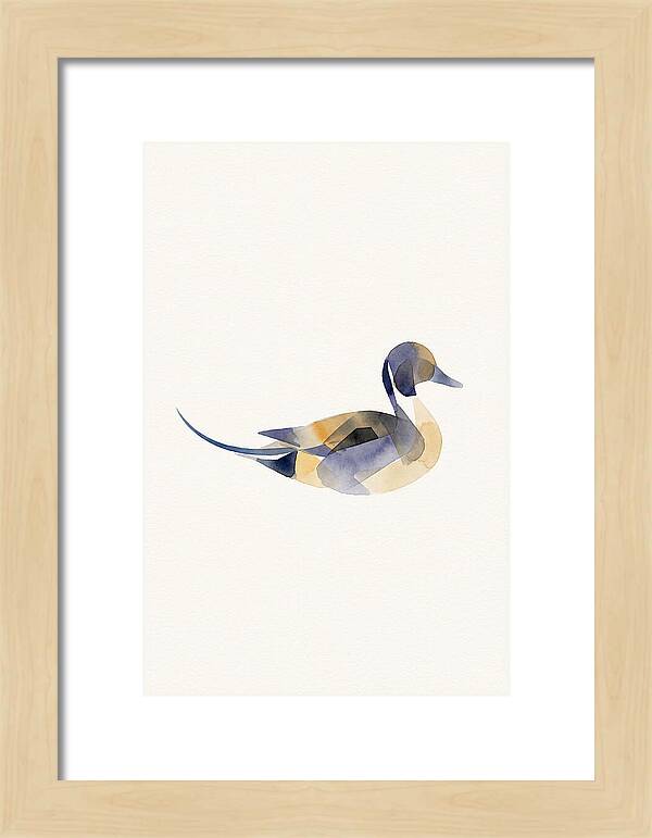 Pintail Duck Minimalism