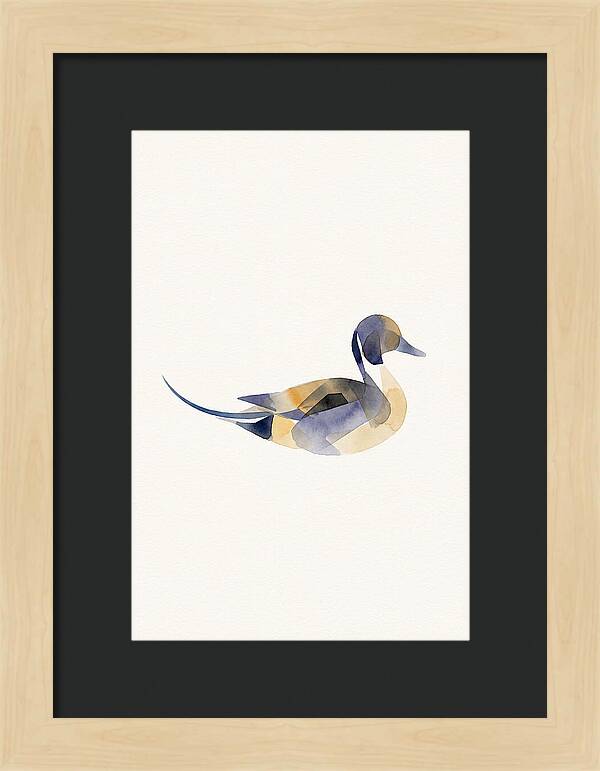 Pintail Duck Minimalism