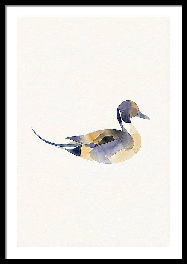 Pintail Duck Minimalism
