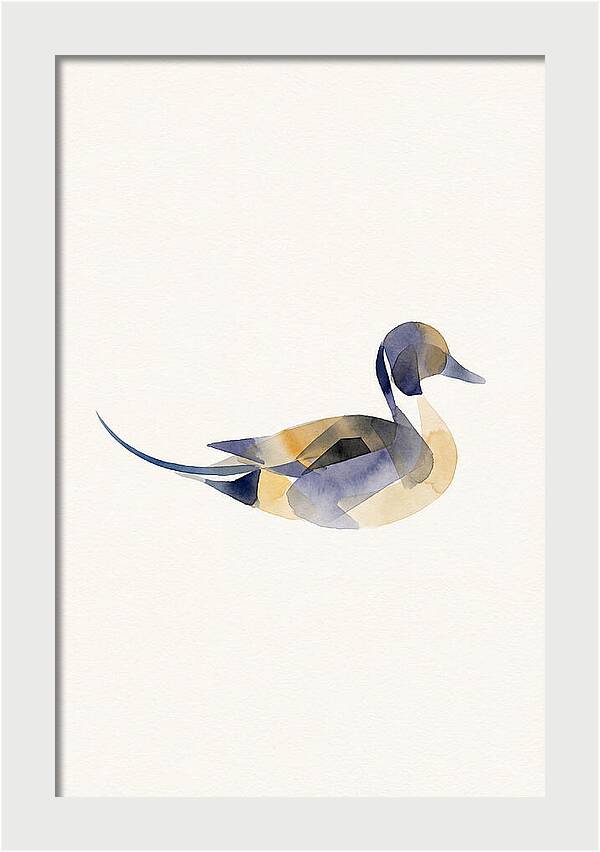 Pintail Duck Minimalism
