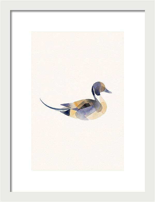 Pintail Duck Minimalism