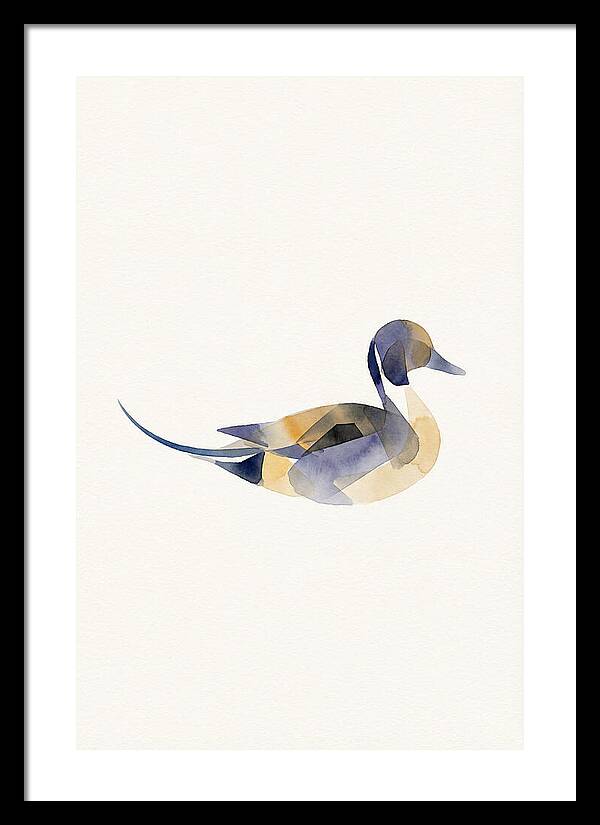 Pintail Duck Minimalism
