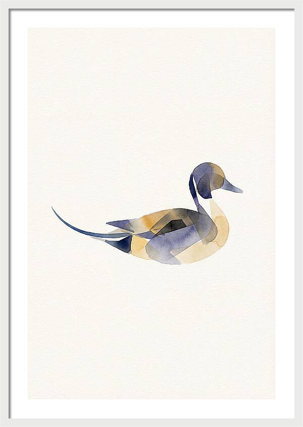 Pintail Duck Minimalism