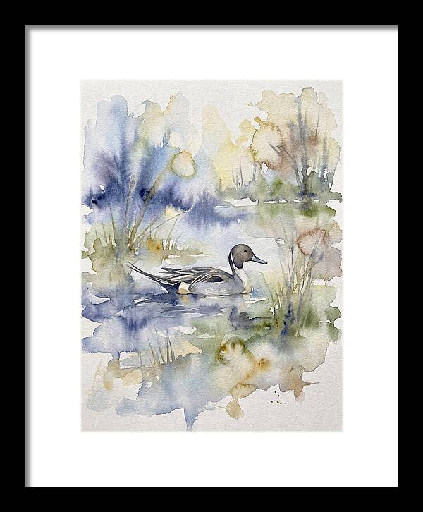 Pintail Duck Serenity