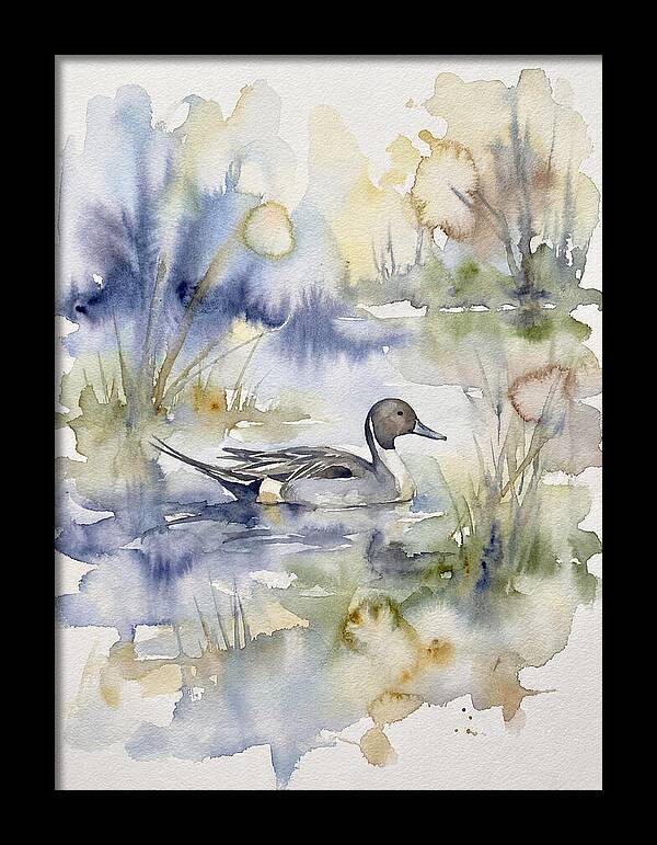 Pintail Duck Serenity