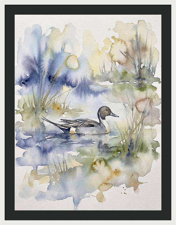 Pintail Duck Serenity