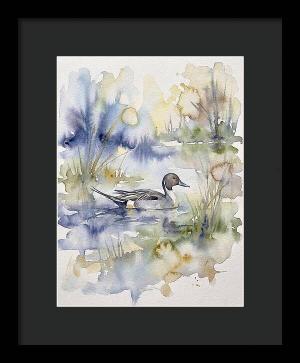 Pintail Duck Serenity