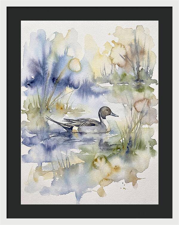 Pintail Duck Serenity