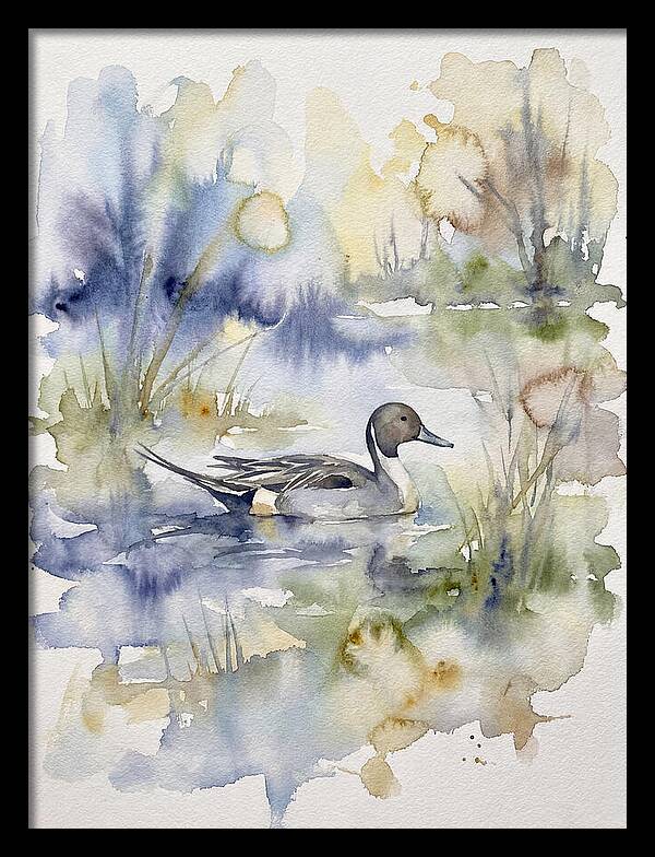 Pintail Duck Serenity