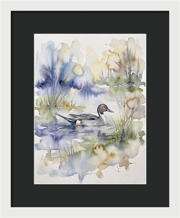 Pintail Duck Serenity
