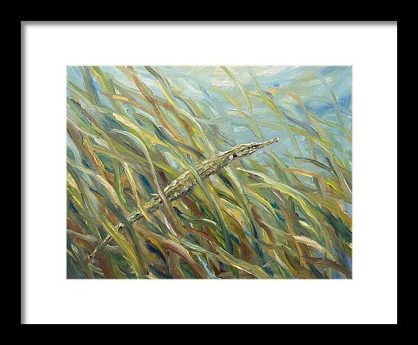 Pipefish Among Aquatic Grass