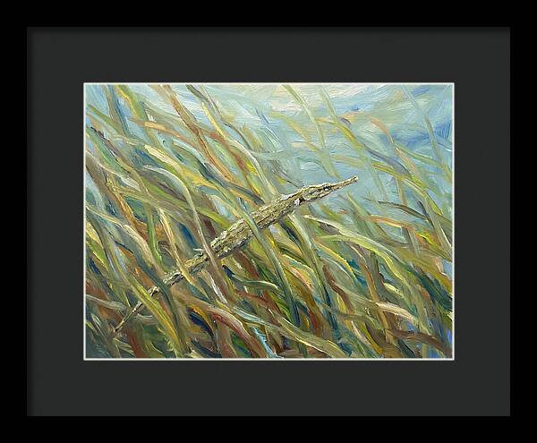 Pipefish Among Aquatic Grass