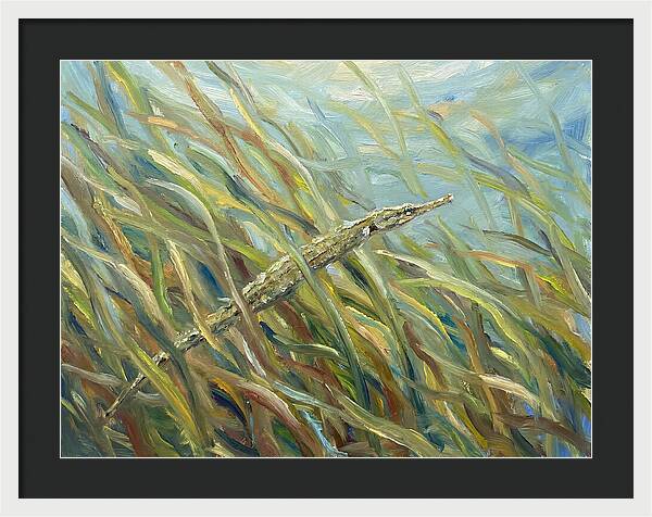 Pipefish Among Aquatic Grass