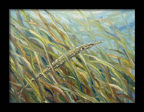 Pipefish Among Aquatic Grass