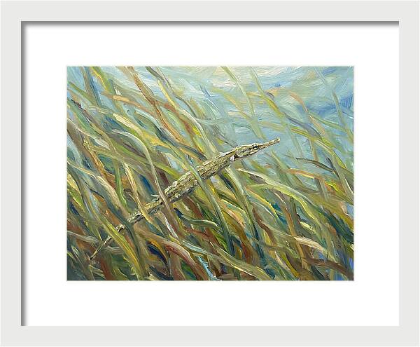 Pipefish Among Aquatic Grass