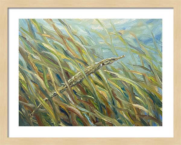 Pipefish Among Aquatic Grass