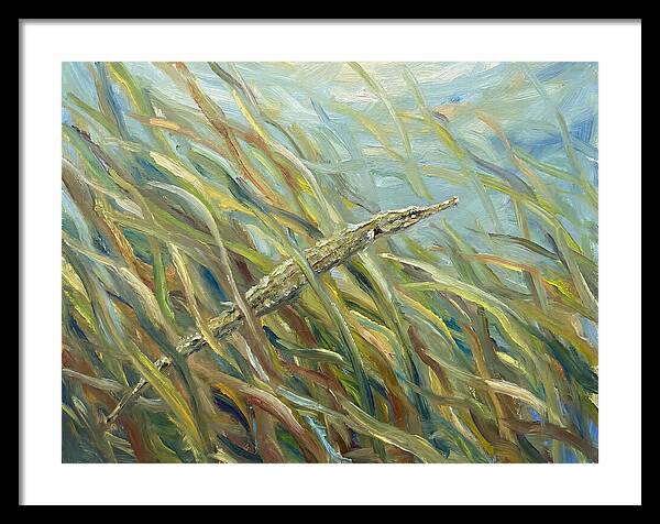 Pipefish Among Aquatic Grass