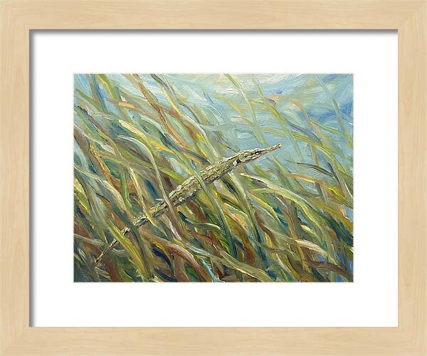 Pipefish Among Aquatic Grass