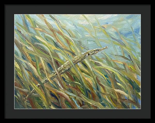 Pipefish Among Aquatic Grass