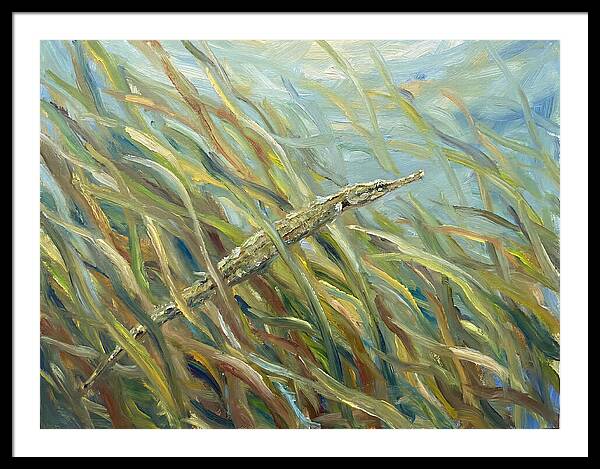 Pipefish Among Aquatic Grass