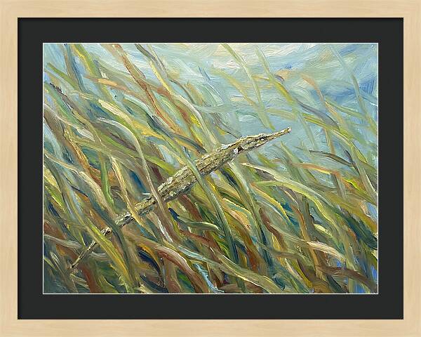 Pipefish Among Aquatic Grass