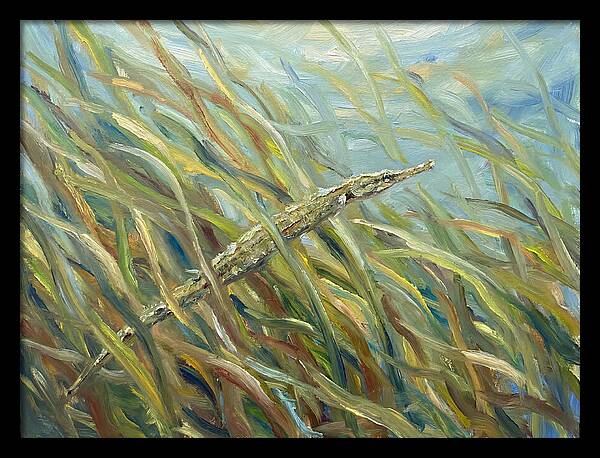Pipefish Among Aquatic Grass