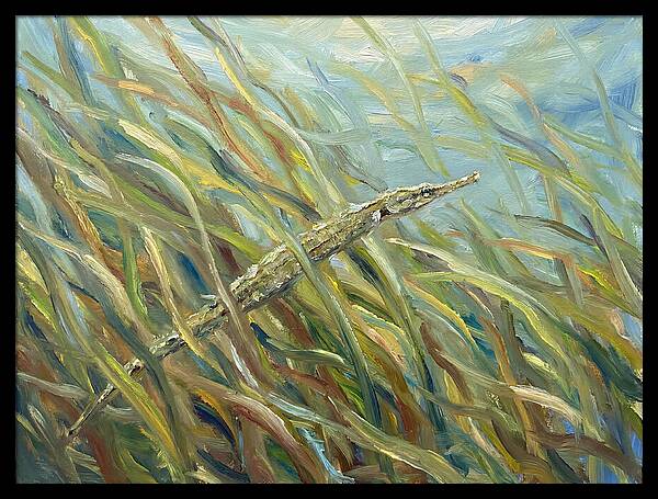 Pipefish Among Aquatic Grass