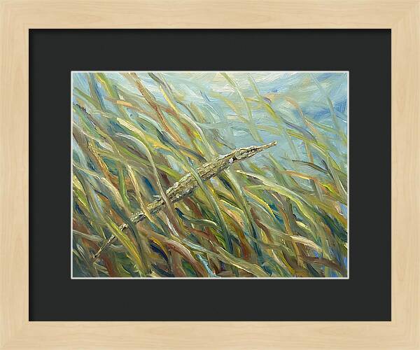Pipefish Among Aquatic Grass