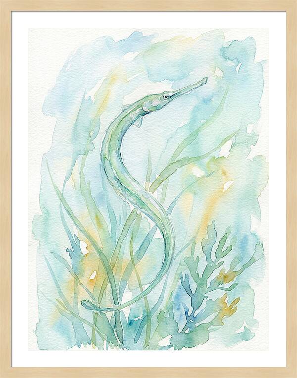 Pipefish Among Aquatic Greens