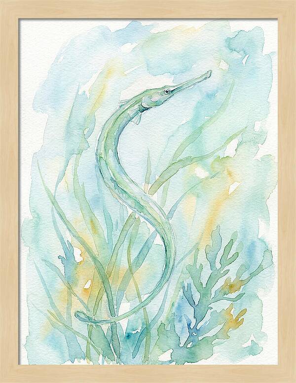 Pipefish Among Aquatic Greens