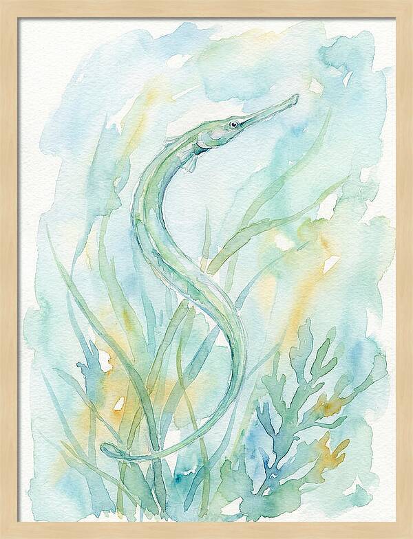 Pipefish Among Aquatic Greens
