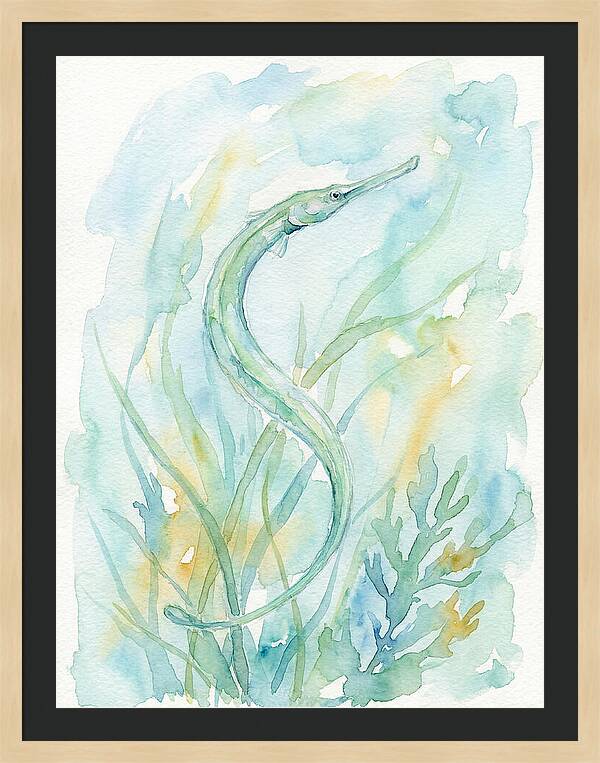 Pipefish Among Aquatic Greens