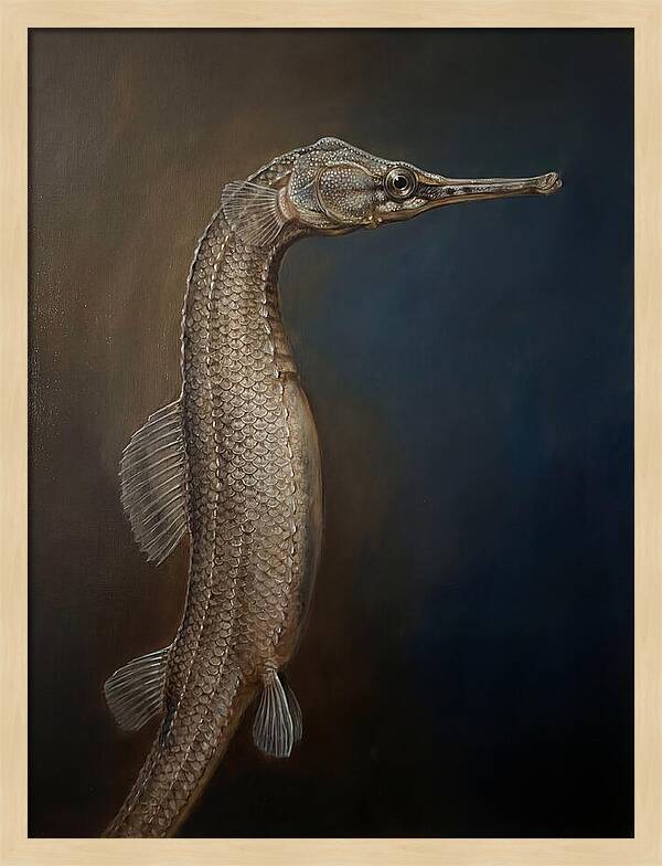 Pipefish In Realistic Detail