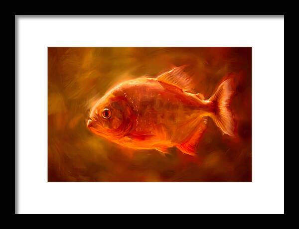 Piranha In Motion