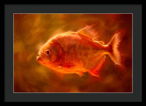 Piranha In Motion