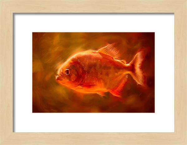 Piranha In Motion