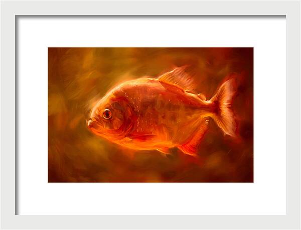 Piranha In Motion