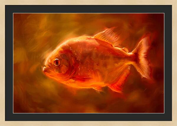 Piranha In Motion