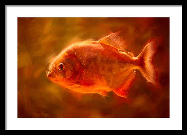 Piranha In Motion
