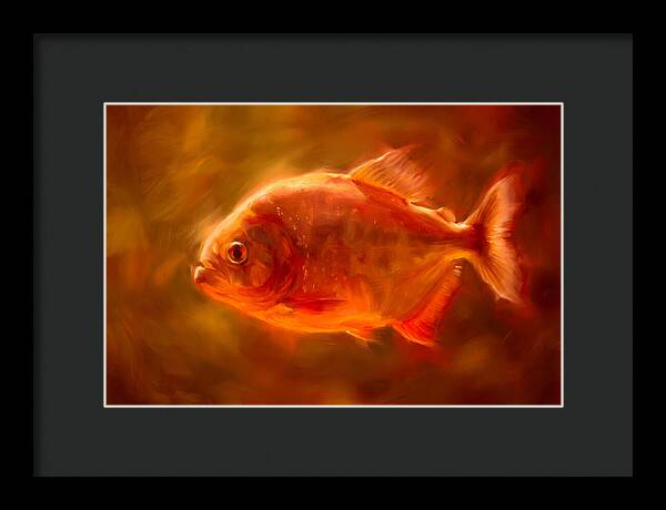 Piranha In Motion