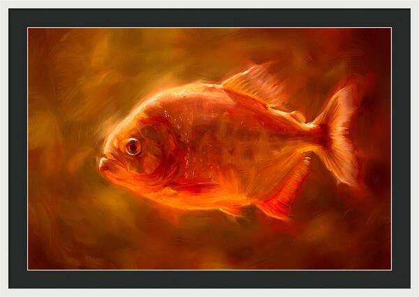 Piranha In Motion