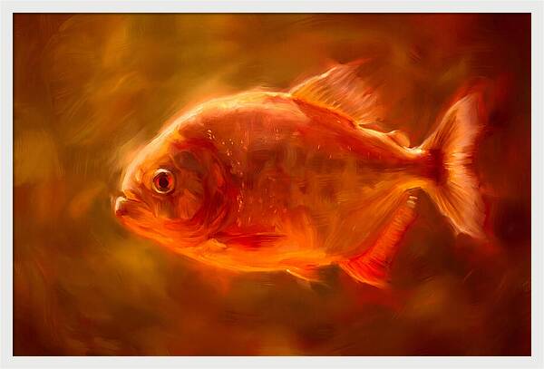 Piranha In Motion