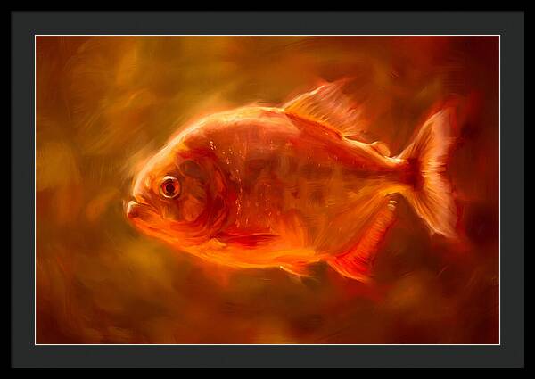 Piranha In Motion